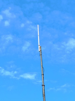 WhatsApp Image 2021-04-08 at 22.22.15.jpeg