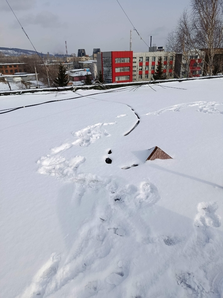 03-Средний сток.jpg